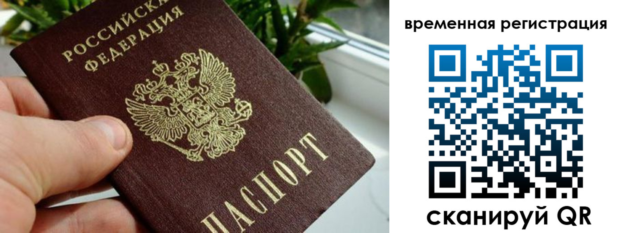прописка поиск в Зарайске
